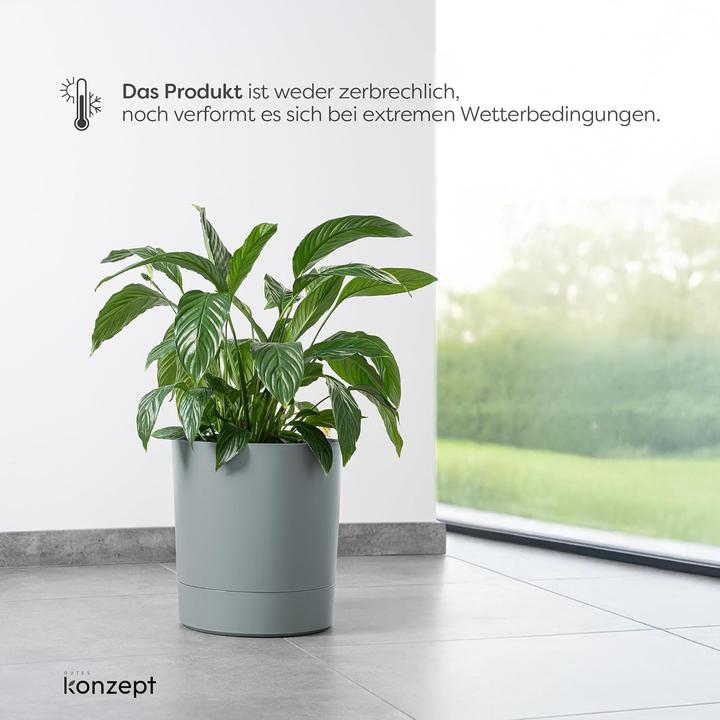 Produktbild Konzept Blumentopf mit Untersetzer
