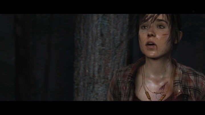 Produktbild Sony The Heavy Rain and Beyond: Two Souls Collection (PS4) (PS4)