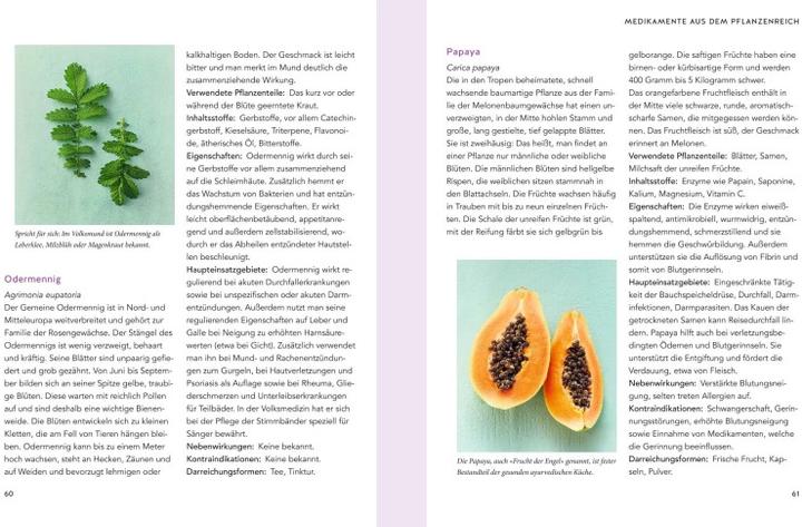 Produktbild Pflanzliche Antibiotika (Deutsch, Aruna M. Siewert, 2020)