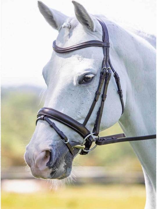 Immagine prodotto Velociti UTER1070 P