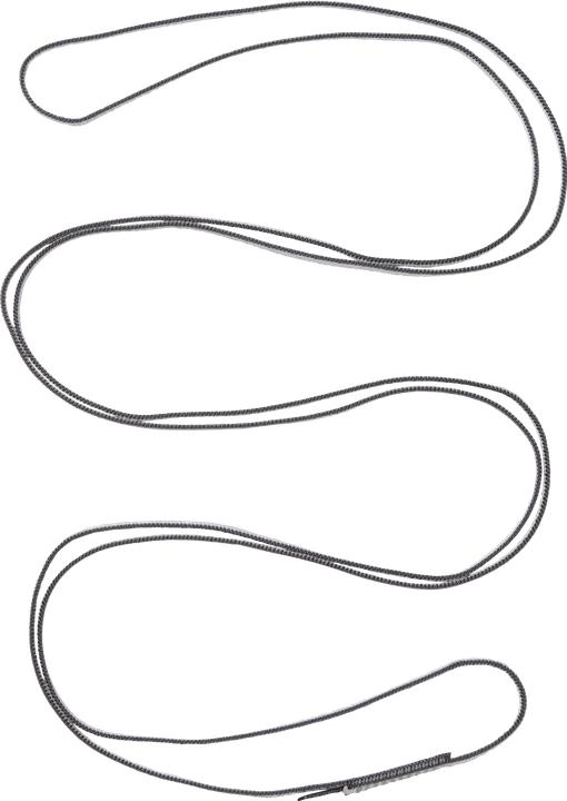 Image du produit Black Diamond Anneau de sangle Dynex Runner 10mm