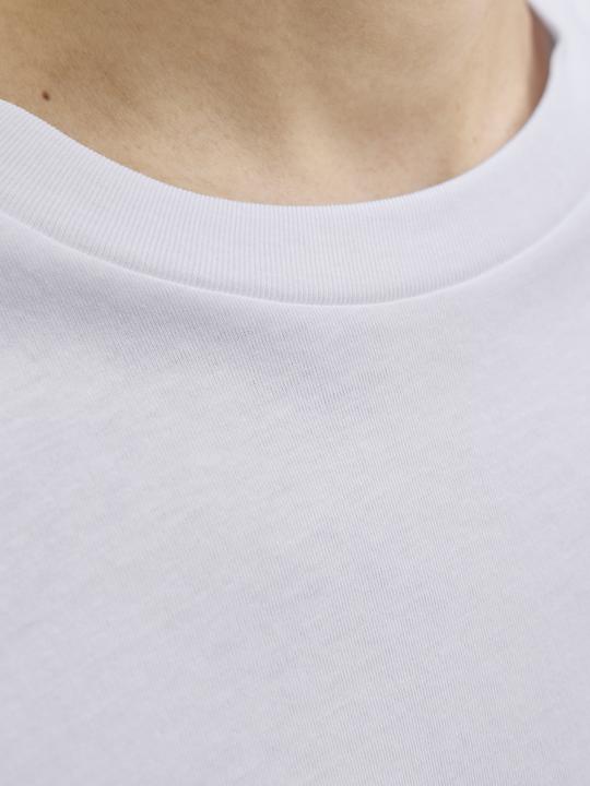 Produktbild Jack & Jones Jordenimdog Tee Ss Crew Neck Ssc (XXL)