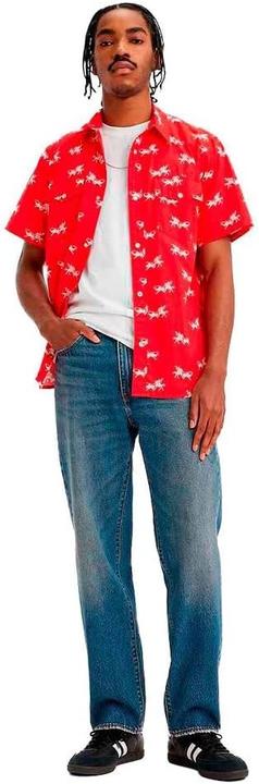 Immagine prodotto Levis Jeans Loose Fit (30)
