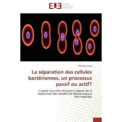 La séparation des cellules bactériennes, un processus passif ou actif?, Fachbücher von Séverine Layec