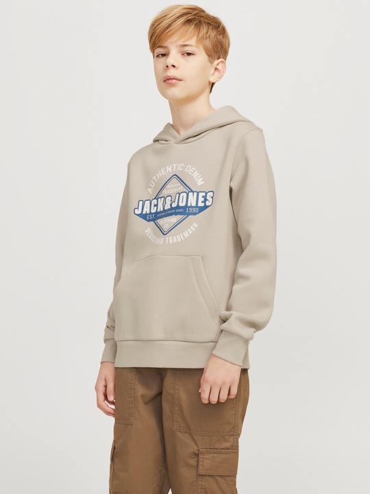 Actual product image Jack & Jones JJELOGO SWEAT HOOD 2 COL 24/25 NOOS JNR (164)