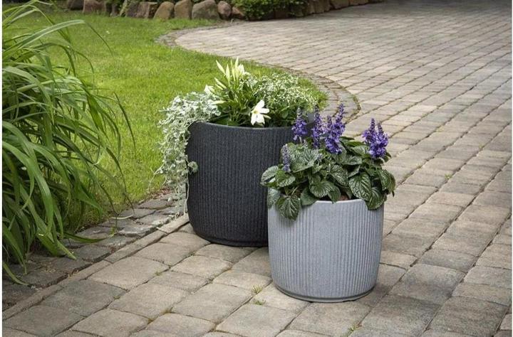 Image du produit Scheurich Linetto High 54 (38.60 x 53.90 cm)
