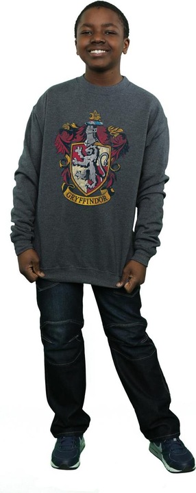 Actual product image Boys Gryffindor Sweatshirt (152, 158)