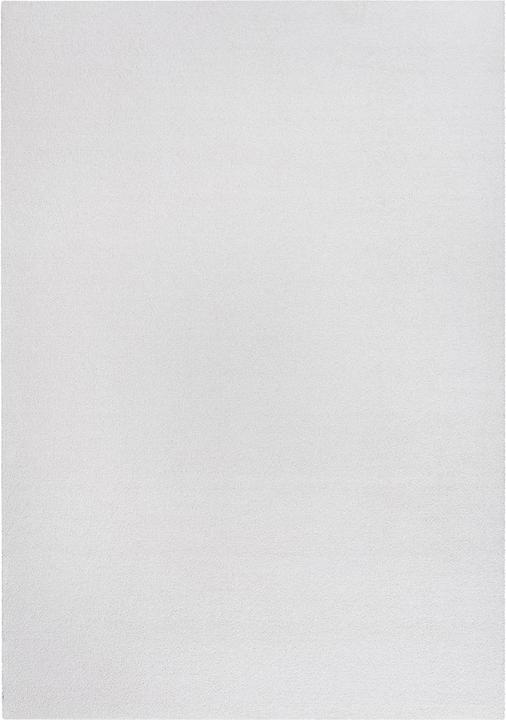 Lipo Prunella (230 x 160 cm)