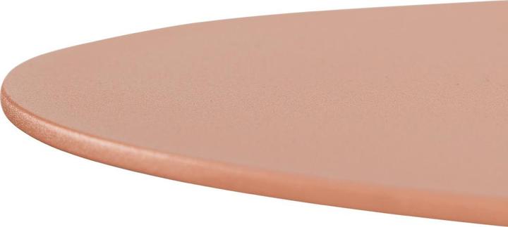 Immagine prodotto Spinder Design Taff (30 x 24 x 12.25 cm)