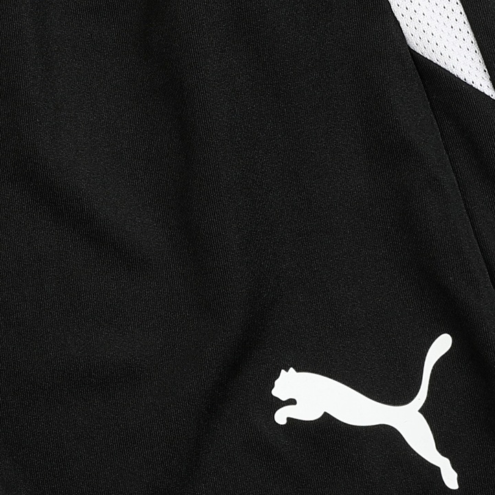 Actual product image Puma teamLIGA Shorts Jr-704931 (128)