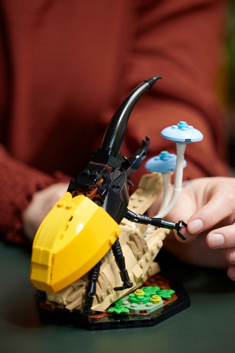 Actual product image LEGO Ideas The insect collection (21342, LEGO Ideas)