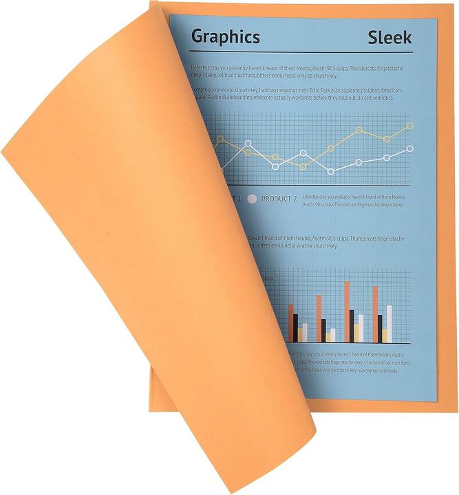 Actual product image Exacompta Future Jura 250 (A4, 100x)