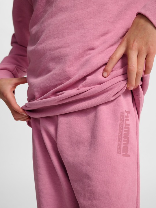 Image du produit hummel hmlJR BASE SWEAT SET (134)