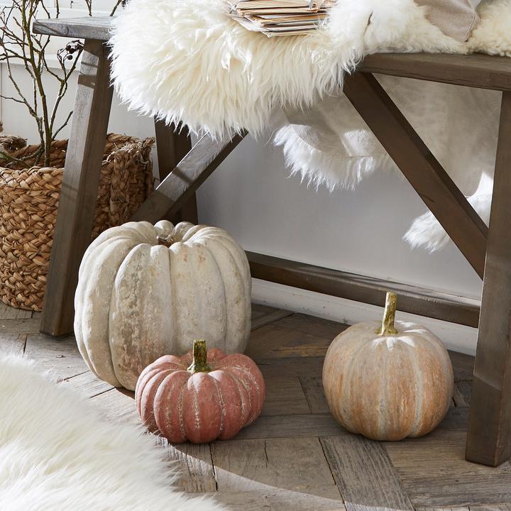 Actual product image Loberon Pumpkin