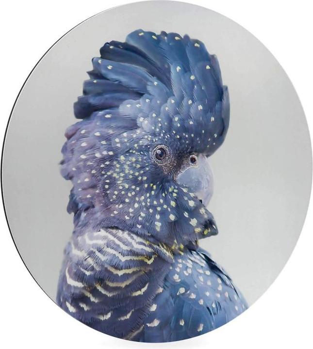 Image du produit Trenddeko Cacatoès bleu (Rond)