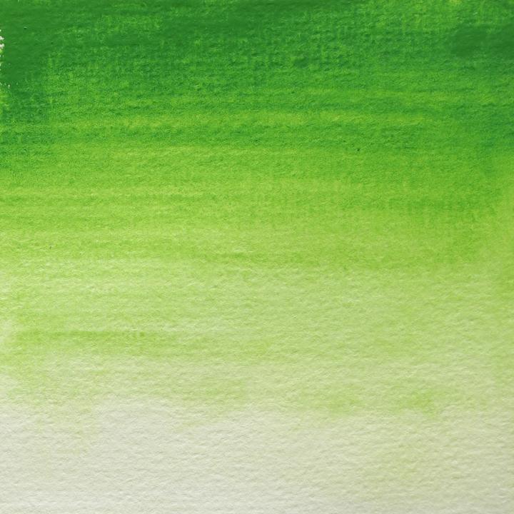 Image du produit BlockX - Vert de vessie