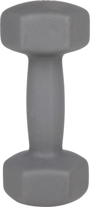 Image du produit Galaxus Haltères courts (2 x 4 kg)