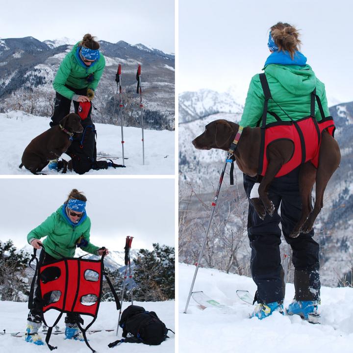 Fido Pro Airlift (M, Dog vest)