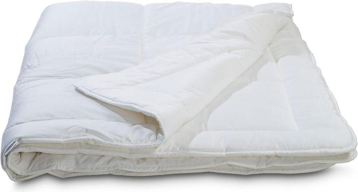 Image du produit Interio Bamboo (1600 g, Bambou, Polyester, 200 x 210 cm)