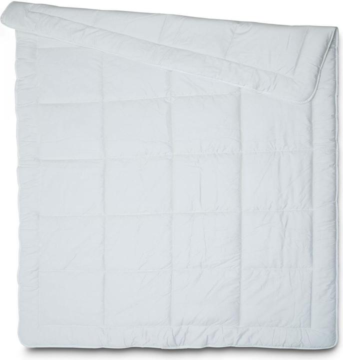 Image du produit Interio Bamboo (1600 g, Bambou, Polyester, 200 x 210 cm)