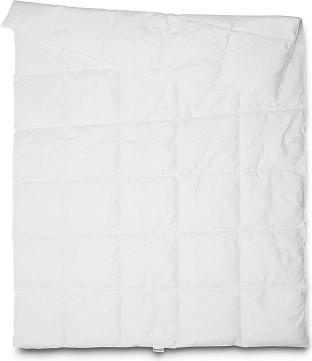 Image du produit Interio Dream Fibre (1050 g, Polyester, 160 x 210 cm)