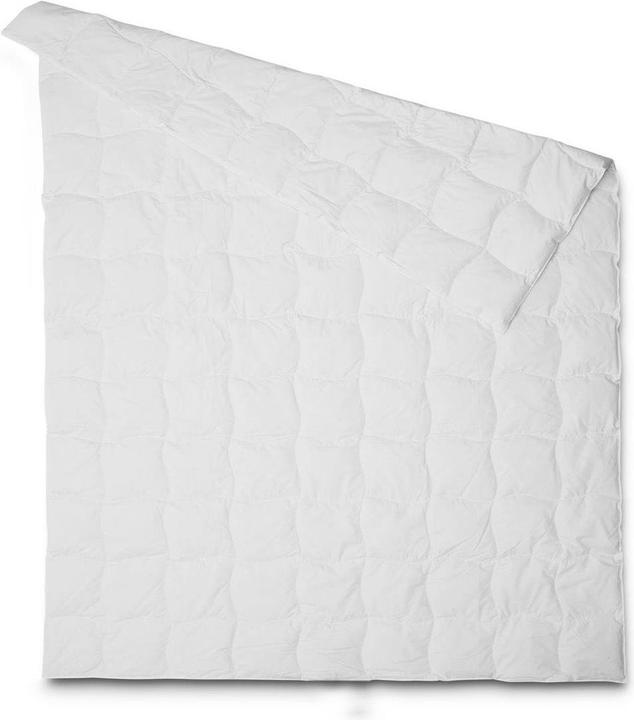 Image du produit Interio Classic Cool (330 g, Duvet, 160 x 210 cm)