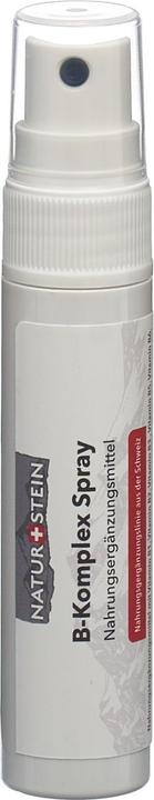 Naturstein Vitamin Spray B-Komplex (1 pièce(s), Spray, 41 g)