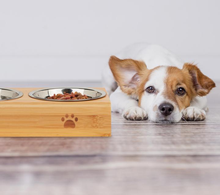 Immagine prodotto Relaxdays Stazione di cibo per cani (0.30 l)