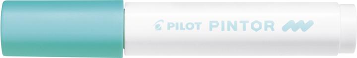 Image du produit Pilot Pintor Medium pastel (1x)