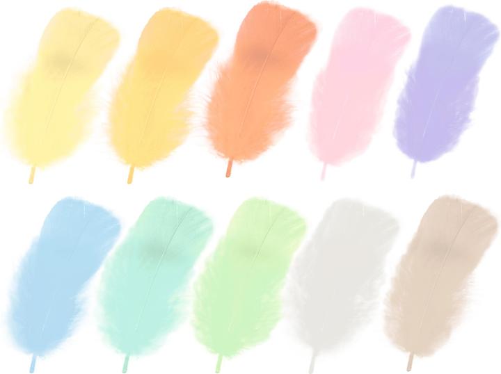 Actual product image Ursus Feathers 10g, Multicoloured