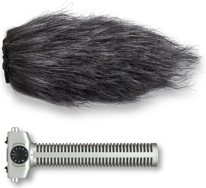 Immagine prodotto Zoom Sgh-6 (Microfono)