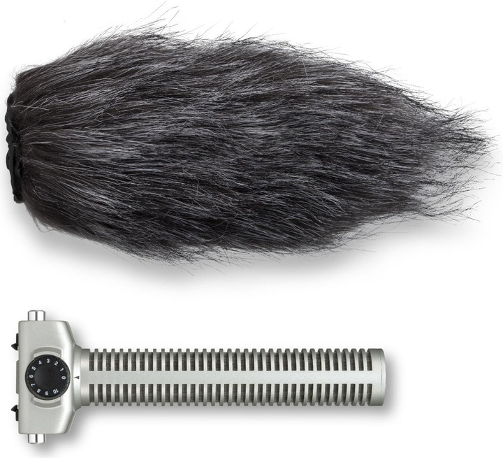 Actual product image Zoom Sgh-6 (Microphone)