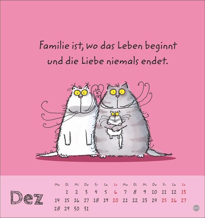 Produktbild Catzz Postkartenkalender 2026 (Postkartenformat)