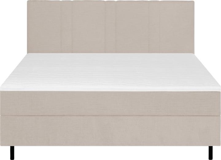 Image du produit Mid.You Paola (120 x 200 cm)