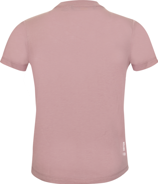 Immagine prodotto Salewa Grafica Dry S/S (104)