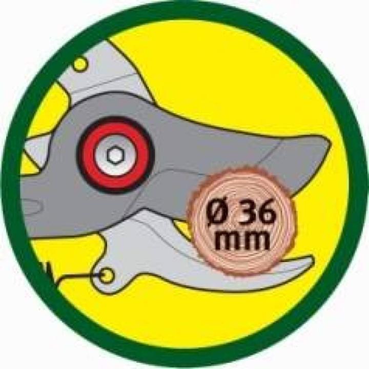 Actual product image Wolf-Garten Rr-Vm