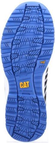 Actual product image Cat Batch (S3, 40)