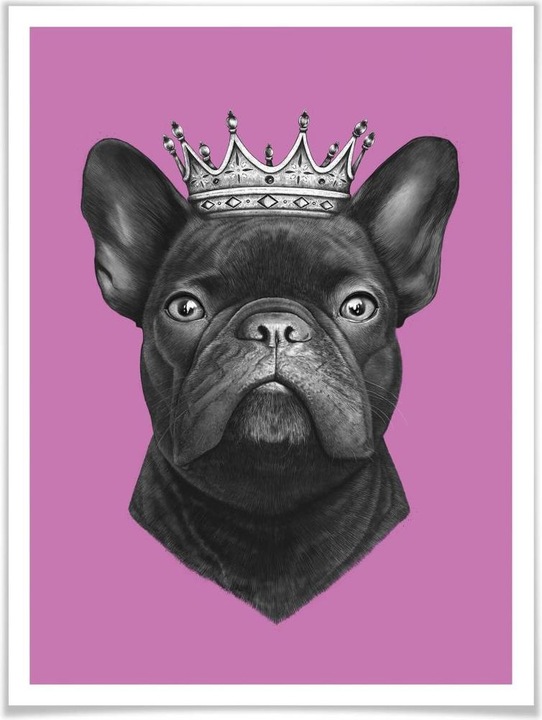 Image du produit Trenddeko King French Bulldog rose (30 x 40 cm)
