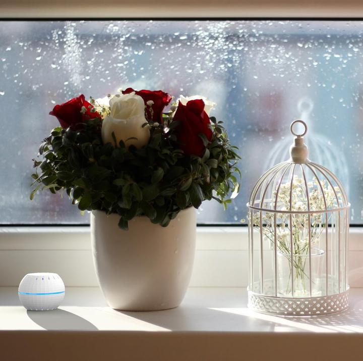 Produktbild Shelly WLAN Luftfeuchte und Temperatursensor H&T