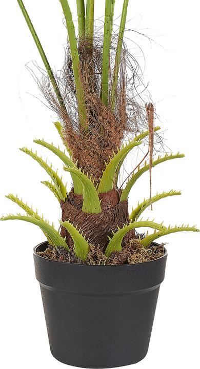 Immagine prodotto Beliani Fan Palm (100 cm)