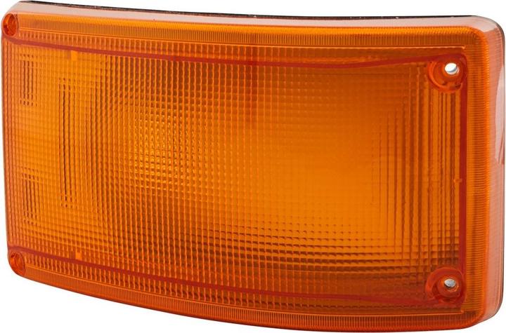 Actual product image Hella Halogen indicator for AUWÄRTER