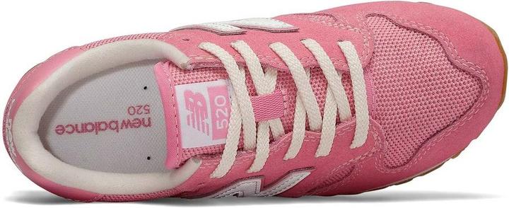 Image du produit New Balance 520 (20.5)