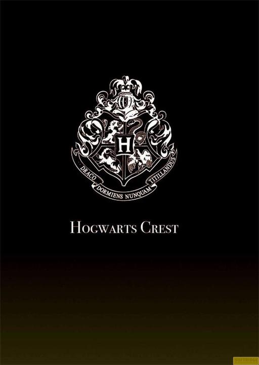 Productafbeelding Groovy Lumos Maxima