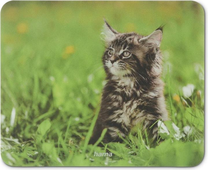 Actual product image Hama Animal