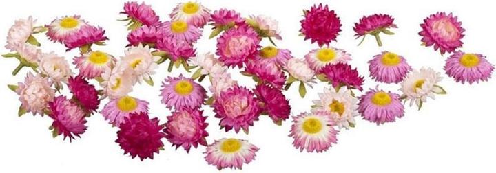 Dekomat Kunstblume Strohblüten 36 Stück, Rosa/Pink (23 cm)