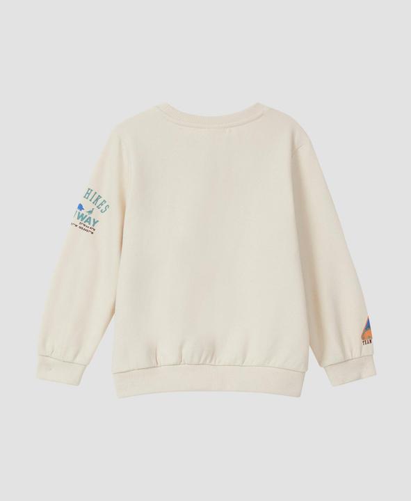 Produktbild s.Oliver Sweatshirt Sweatshirt mit 3D-Prints und Stickerei-Details (98)