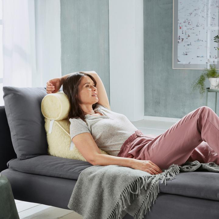 Image du produit Erwin Müller Coussin dorsal avec traversin (Litière)