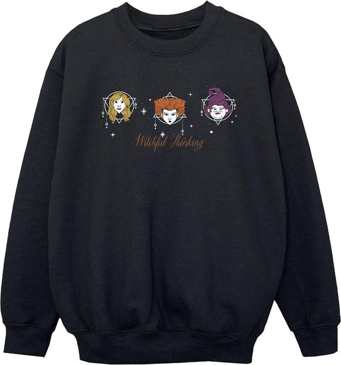 Actual product image Disney Boys Hocus Pocus Witchful Thinking Sweatshirt (152, 158)
