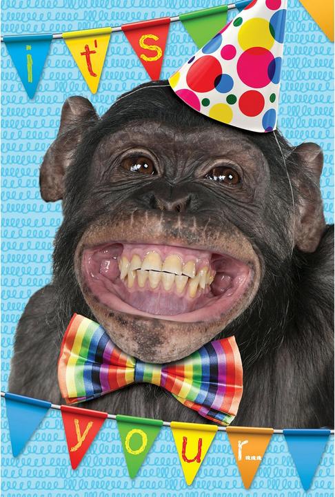 Actual product image Gemma International It's Your Birthday! Chimpanzee Greetings Card