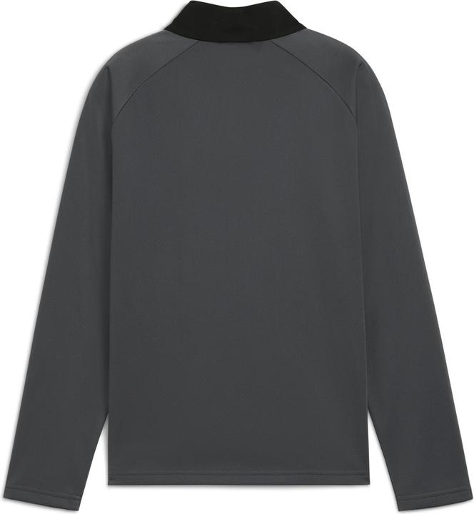 Actual product image Puma IndividualLIGA 1/4 Zip Top Jr (128)